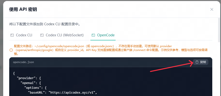 复制完整 json